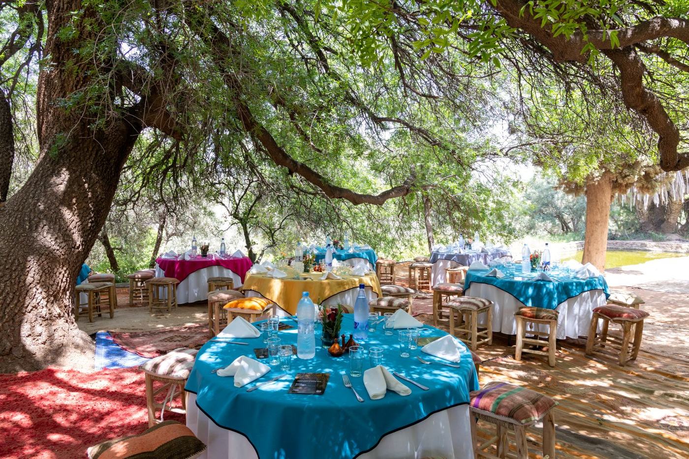 Outdoor dining experience in Morocco