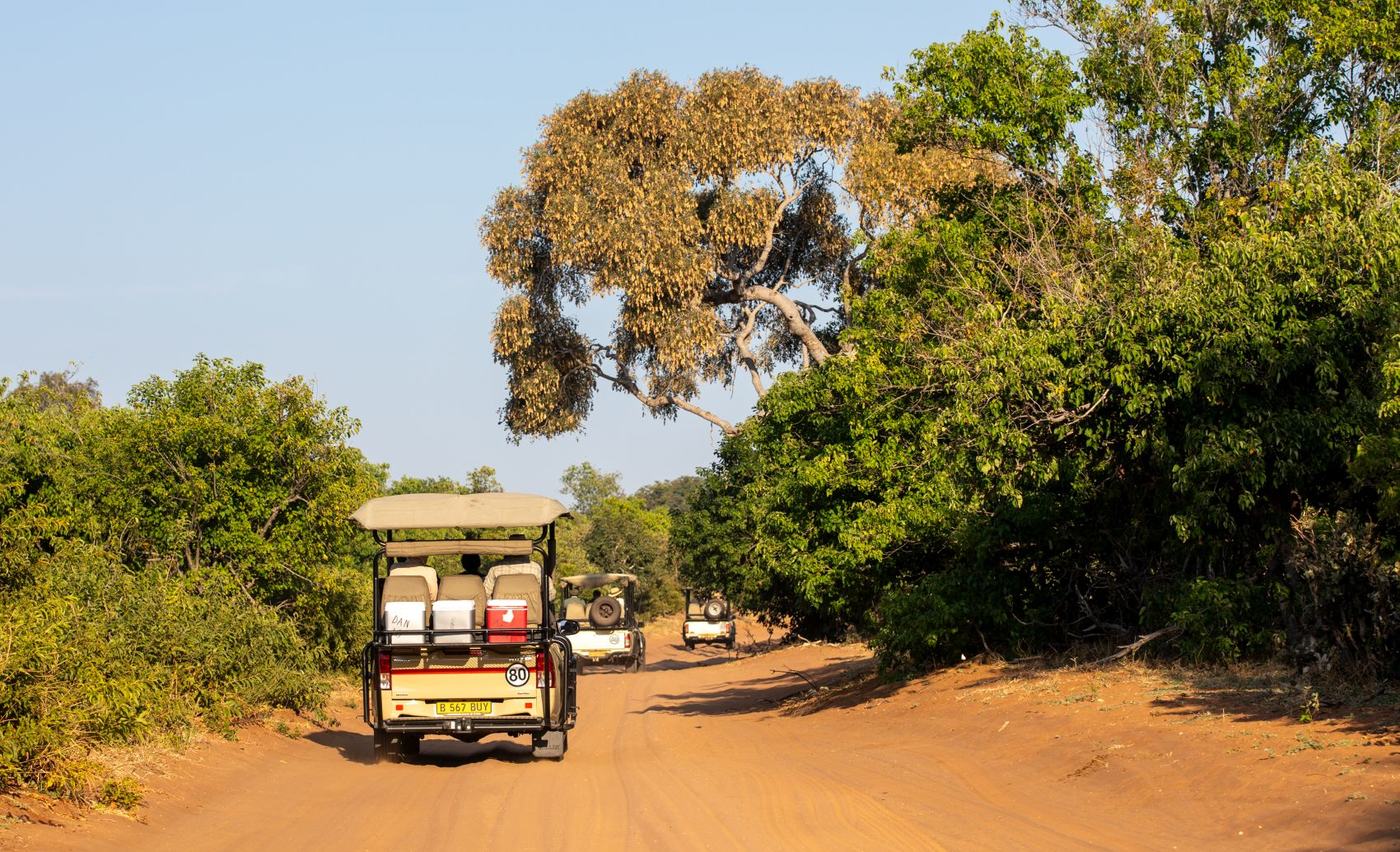 Chobe game drive in Zambia